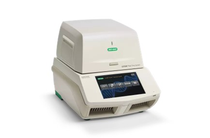 Real Time PCR